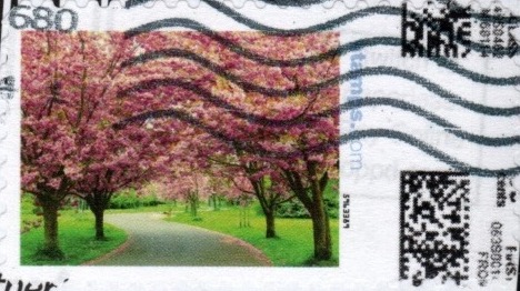 CherryBlossom-V20AE-0vertIMItopEr