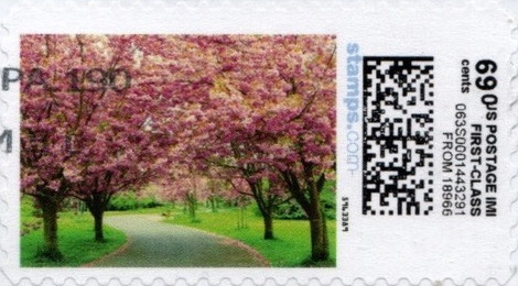 CherryBlossom-V20AE-69.0vertIMItop