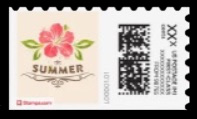 Head1cvpSummerFimi-sdc