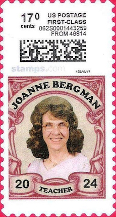 N17.0VHotto1041-V20B