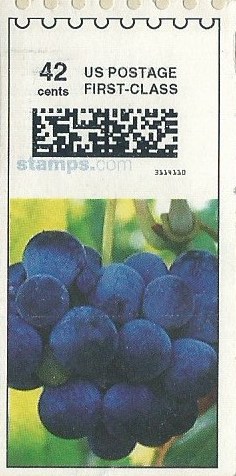 N42Vgrapes002