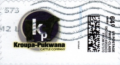 N64.0Hkroupa001-v20Bvert