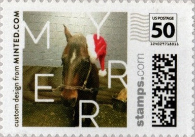 SM50a4NLhorse187