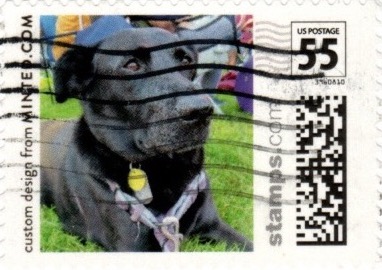 SM55a4NLdog223