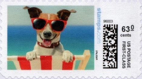 SummerPup-V20-63.0
