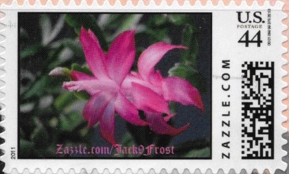 Z44HM11flower013