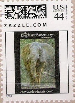 Z44VS09elephant001