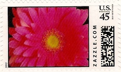 Z45HM12flower001
