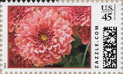 Z45HM12flower013