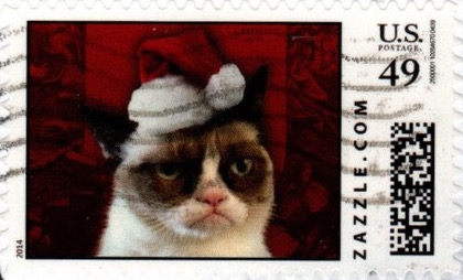 Z49HM14cat002