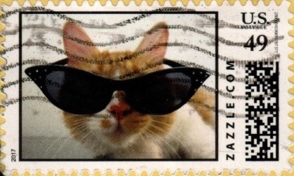 Z49HM17cat001