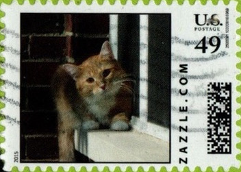 Z49HS15cat002