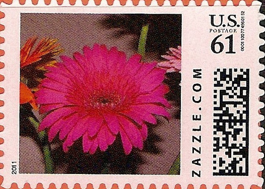 Z61HS11flower001