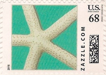 Z68HS16starfish001