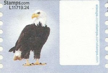 sdc-1751-C00-V13AerrorCapS1