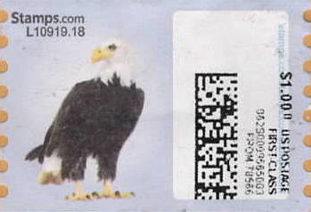 sdc-1751-C100.0-V13Error25