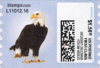 sdc-1751-C156.0-V13A