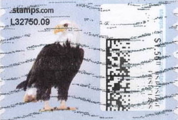 sdc-1751-C156.0-V13Error25D