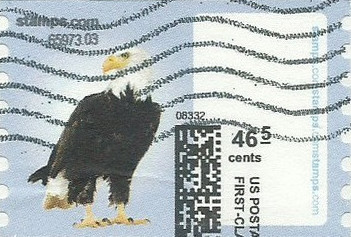 sdc-1751-C46.5-V13C1