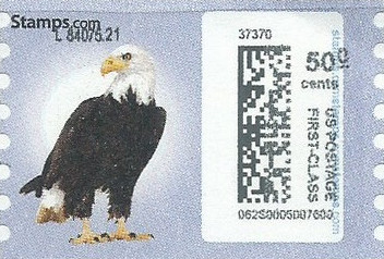 sdc-1751-C50.0-V13Aerror5CA