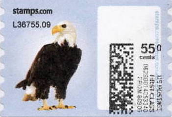 sdc-1751-C55.0-V13Error23A