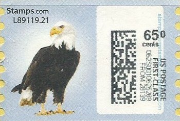 sdc-1751-C65.0-V13Error5