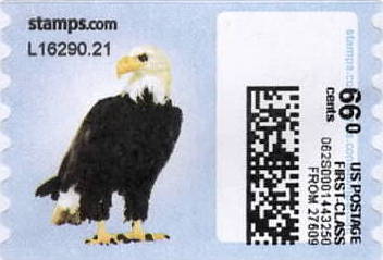 sdc-1751-C66.0-V13Evertden