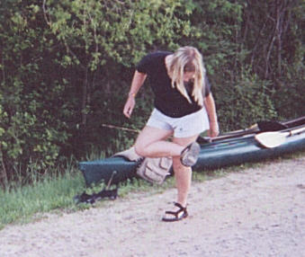 GatorAttack