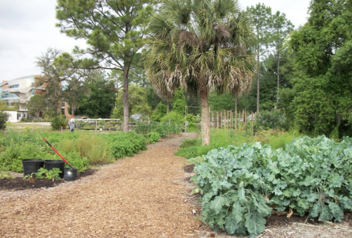 Garden Pix 2