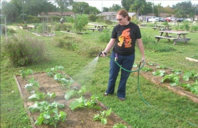 Garden Pix 3