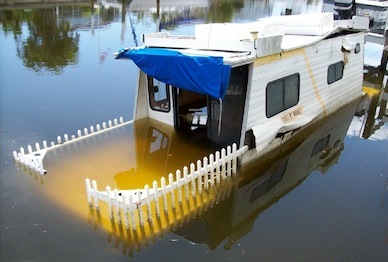Gator2006