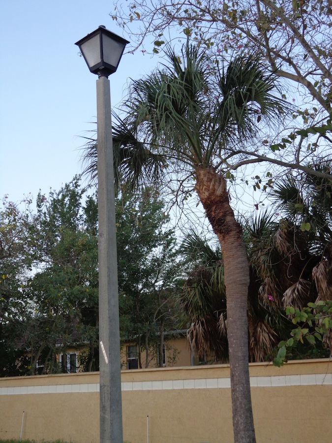 Community Street Lighting